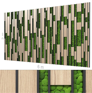 Decorative wall 203.
